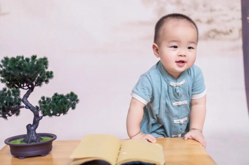 南宁可爱的企鹅宝宝